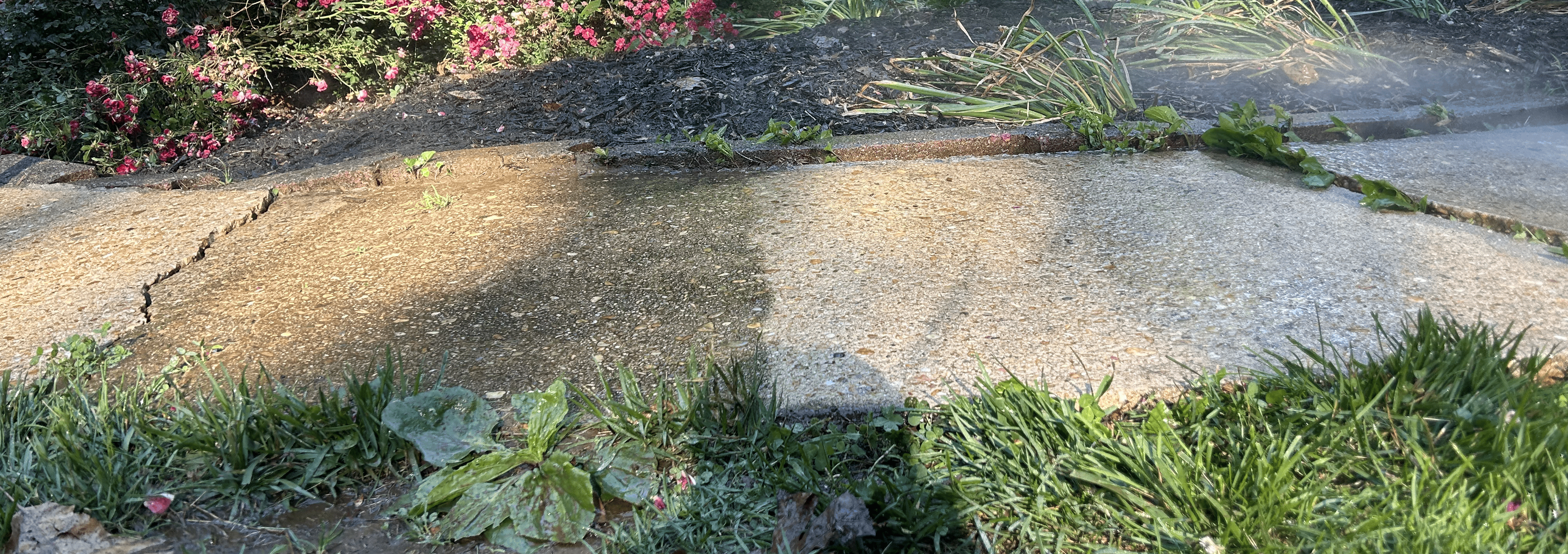 Driveway half cleaned